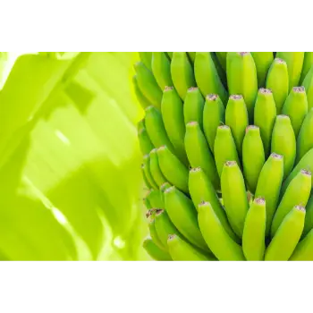 Green Banana (23)-8274760-21559.webp
